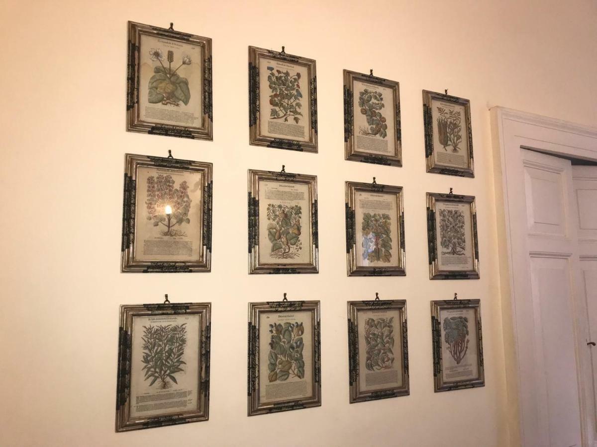 Stylish Apartment In Central Rome "Centro Storico" المظهر الخارجي الصورة